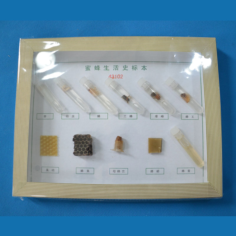 43102۷ʷ(bio)