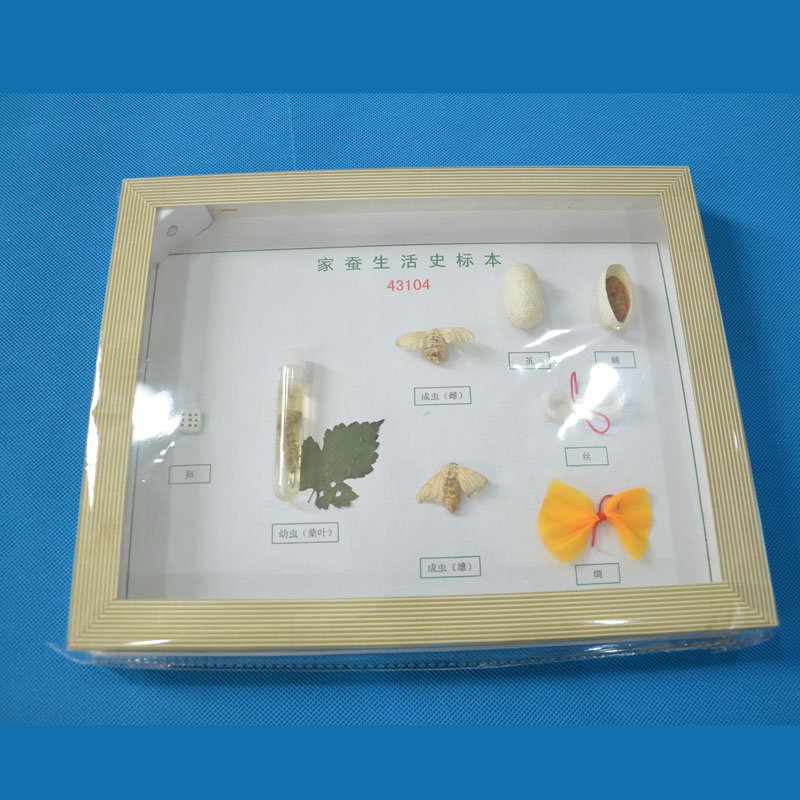 43104Qʷ(bio)